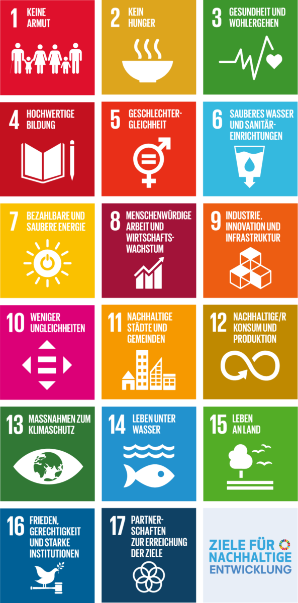 Nachhaltigkeitsbericht, Ziele für nachhaltige Entwicklung